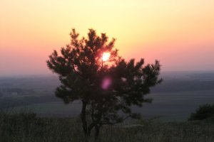 Podvečer na Sandbergu