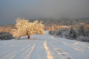 Oranžovo-ružová chvíľka