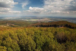 Podunajska nižina