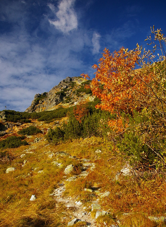 Jeseň v horách II