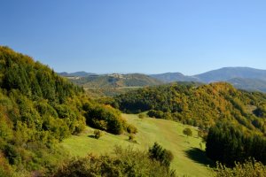 Pod Homôľkou II