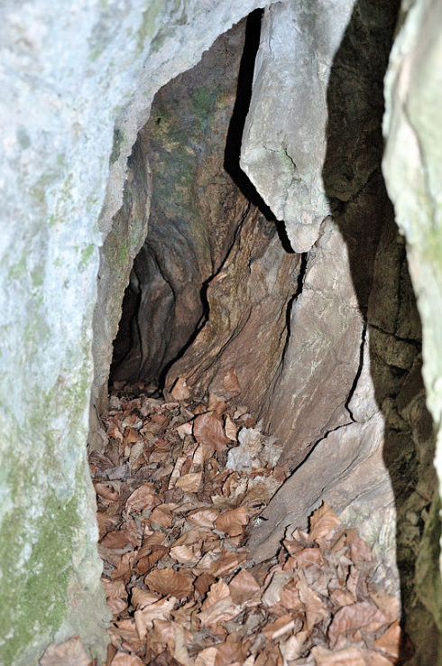 Riečna jaskyňa