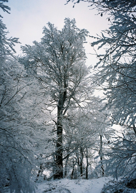 Snehová krása z inverzie