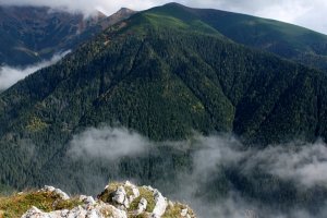 Zelené vrchy tatranské