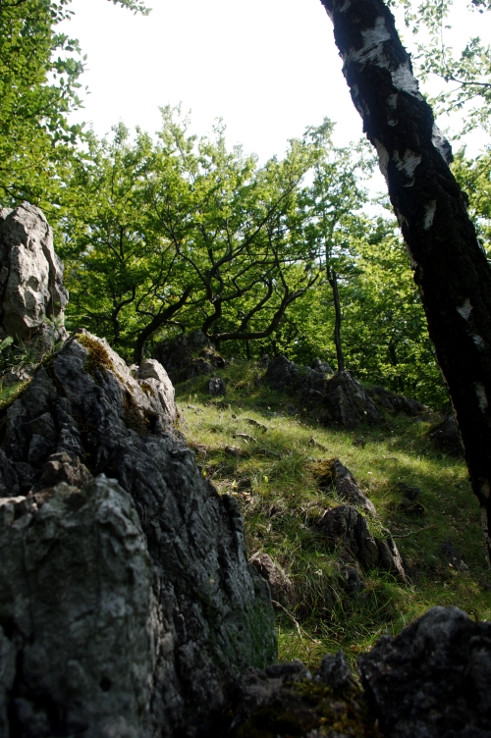 Bokšovská skala II.