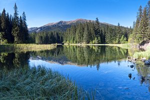 Vrbické pleso