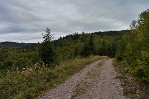 Na Kalište