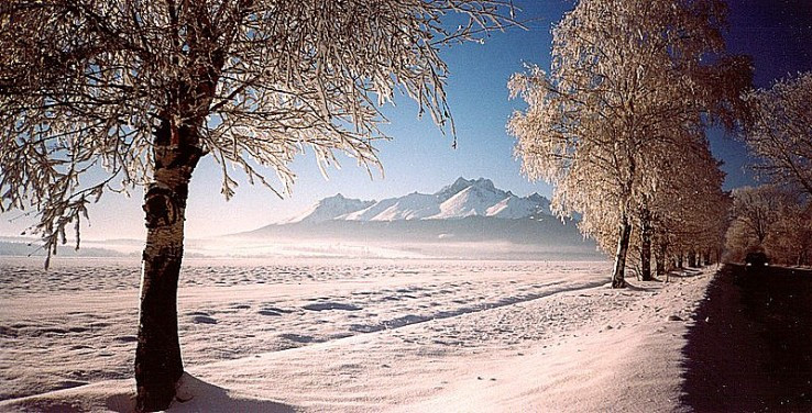 Zima pod Vysokými Tatrami