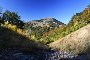 Borišov