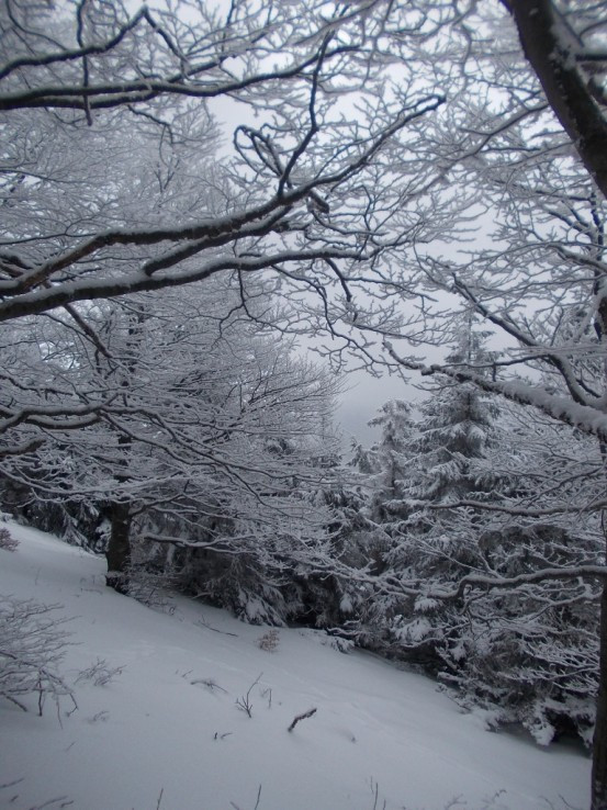 Zimná krása na Vtáčniku