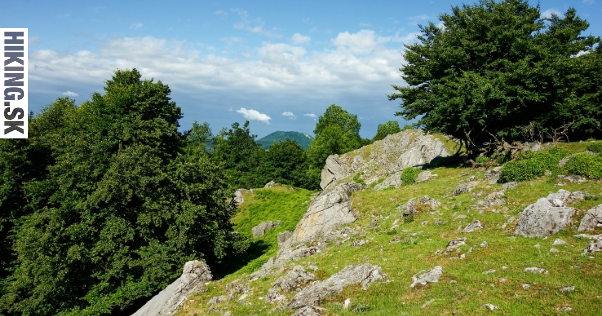 Fotka Z Jelenca Malé Karpaty foto 63503 HIKING.SK