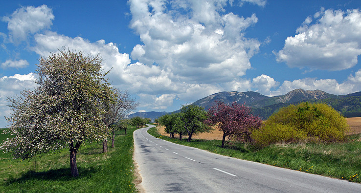 Road foto