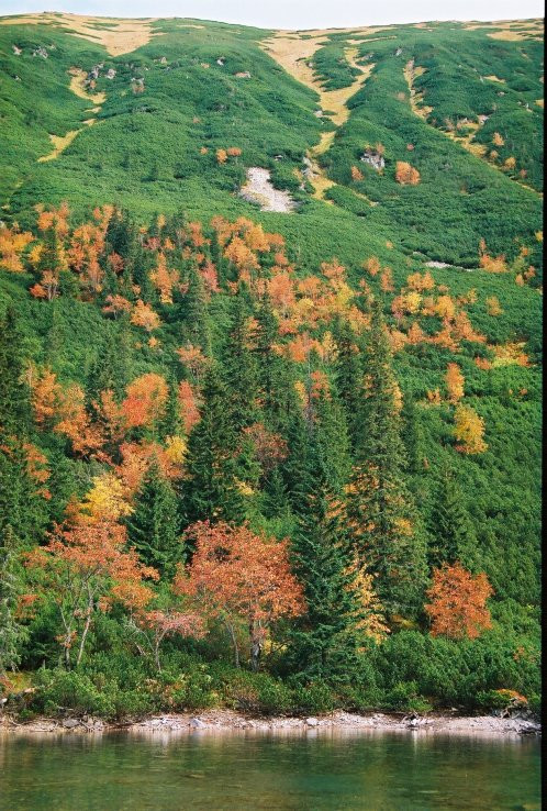 Jesenná nálada pri Ťatliakovom jazere (1370 m)