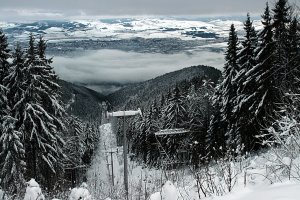 Podvečerná