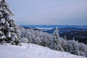 Výhľady z Reváňskeho sedla (1184 m).