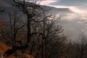 Z Humenského Sokola