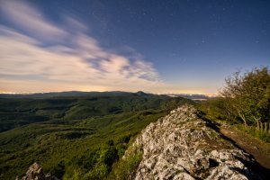 Nočné malokarpatské lesy