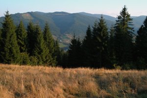 Z Lúky pod Špicou